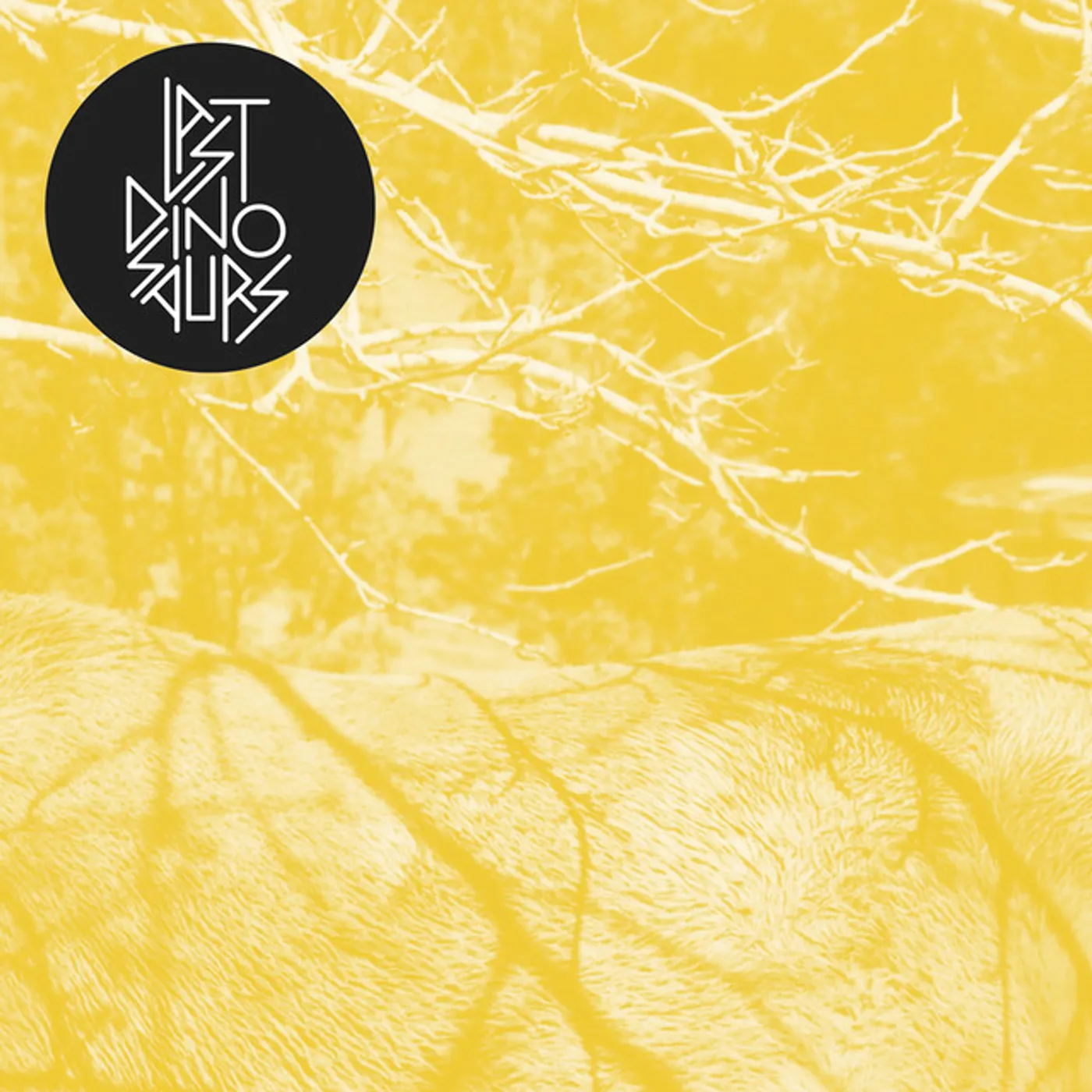 Last Dinosaurs Time & Place Vinyl Record