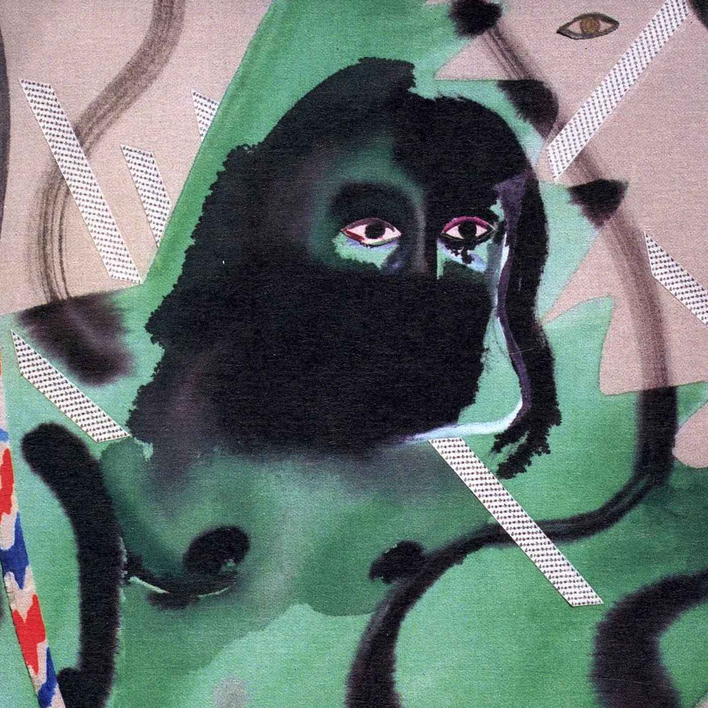 Jennifer Castle CASTLEMUSIC CD