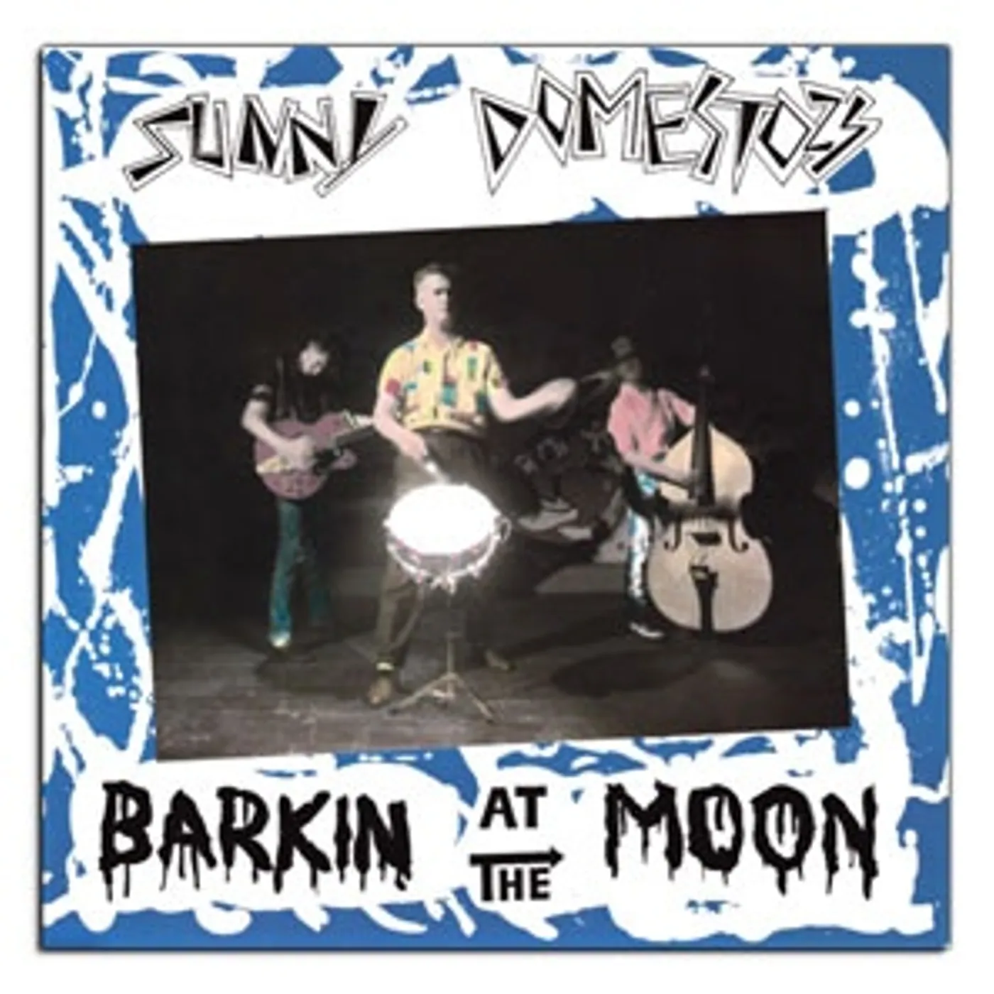 Sunny Domestozs Barkin' At The Moon Vinyl Record