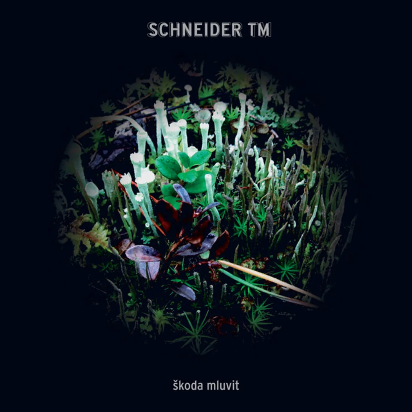 Schneider TM Skoda Mluvit Vinyl Record