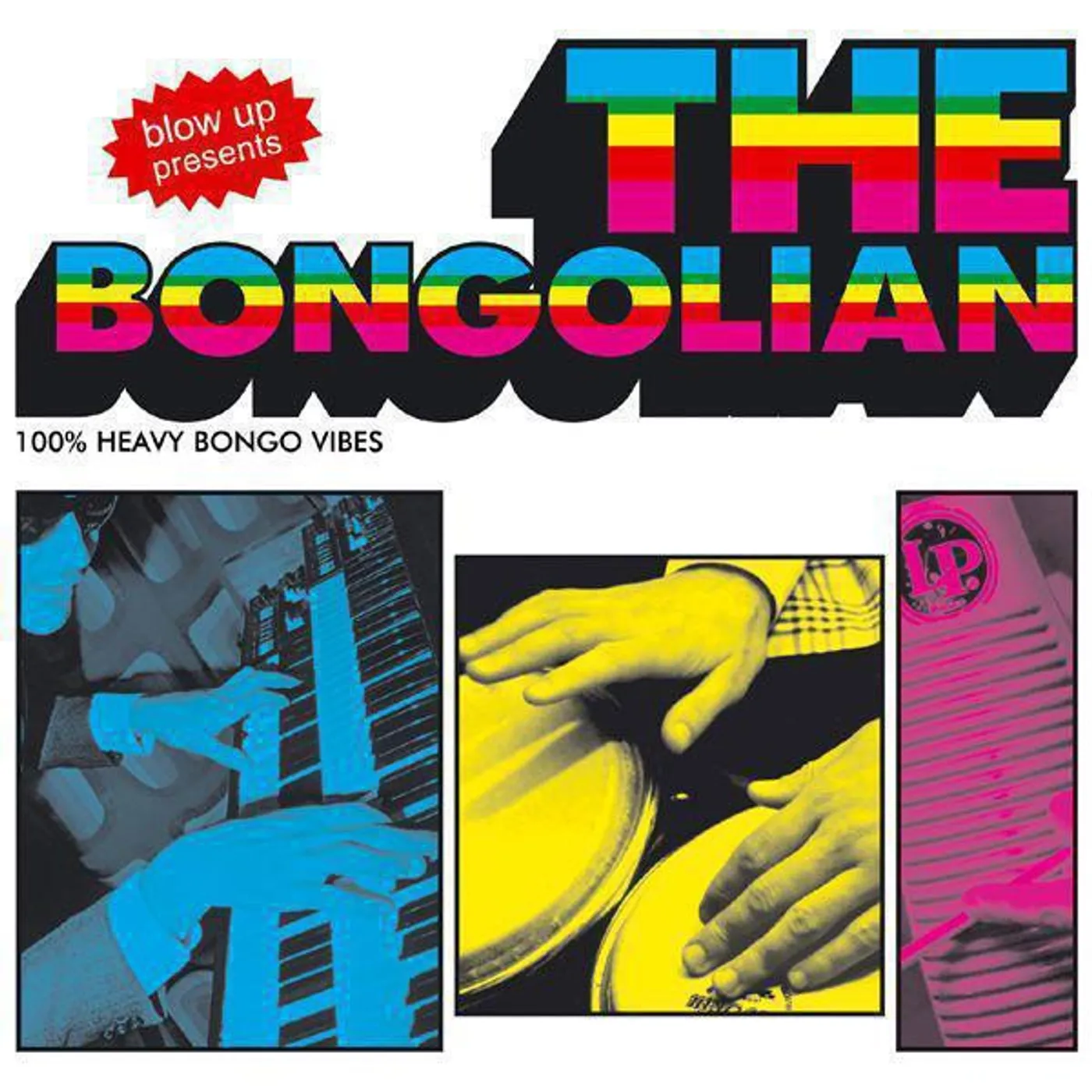 The Bongolian Vinyl Record
