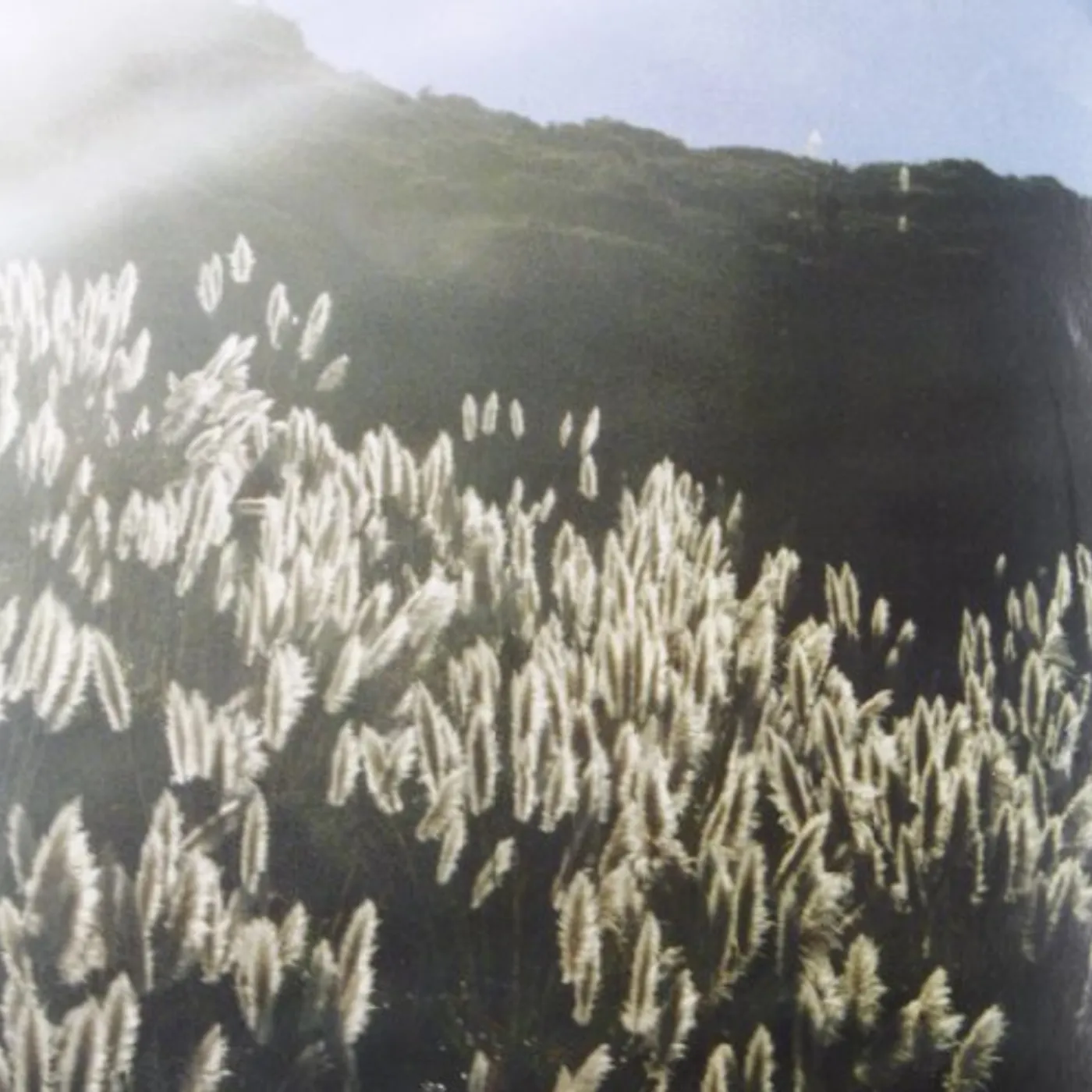 The Blithe Sons GREAT ORTHOCHROMATIC WHEEL Vinyl Record