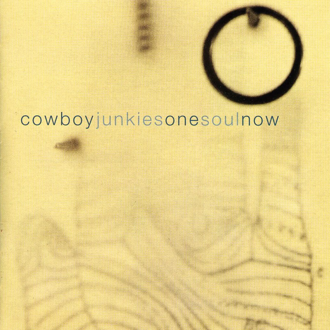 Cowboy Junkies ONE SOUL NOW CD