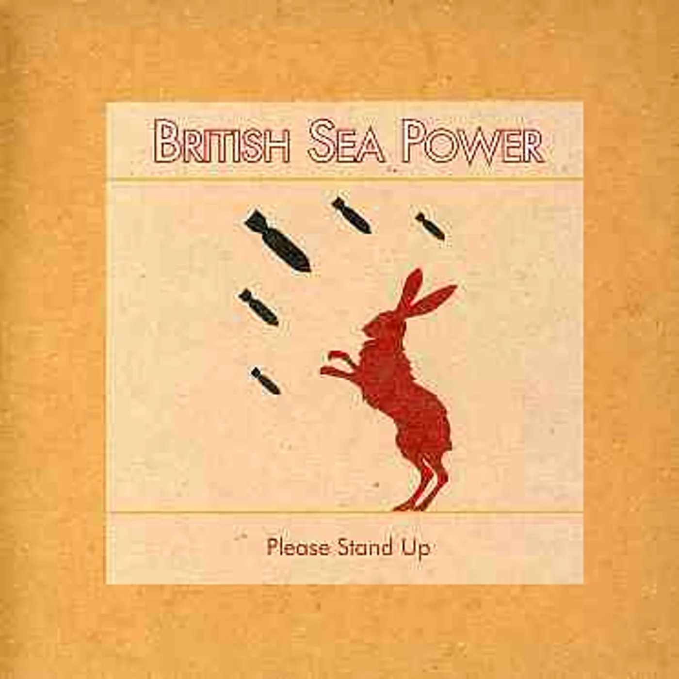 British Sea Power Please Stand Up Vinyl Record