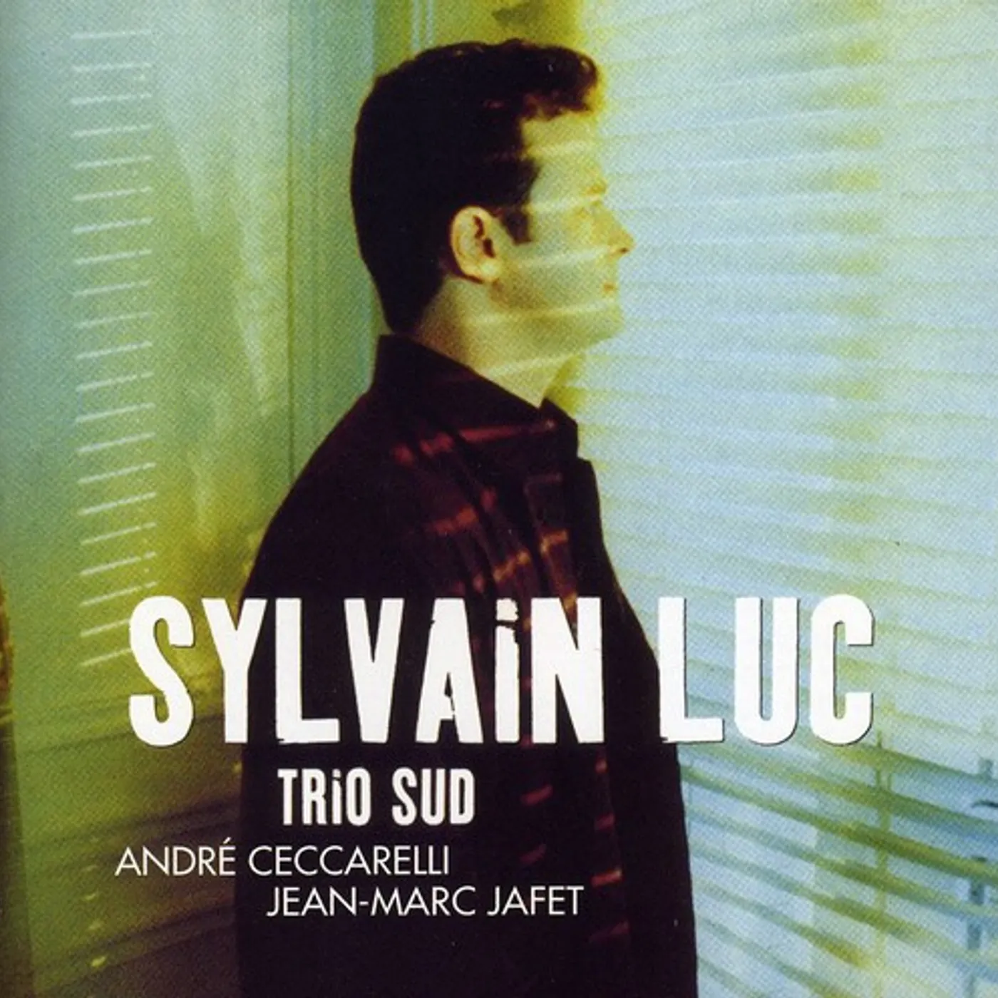 Sylvain Luc TRIO SUD CD