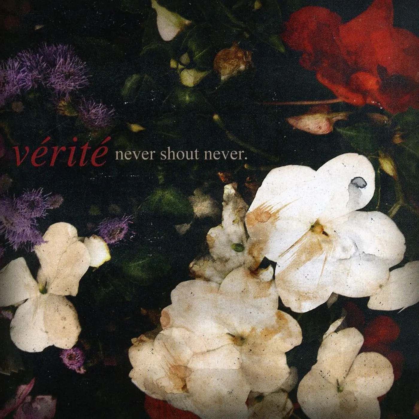Never Shout Never VERITE EP CD