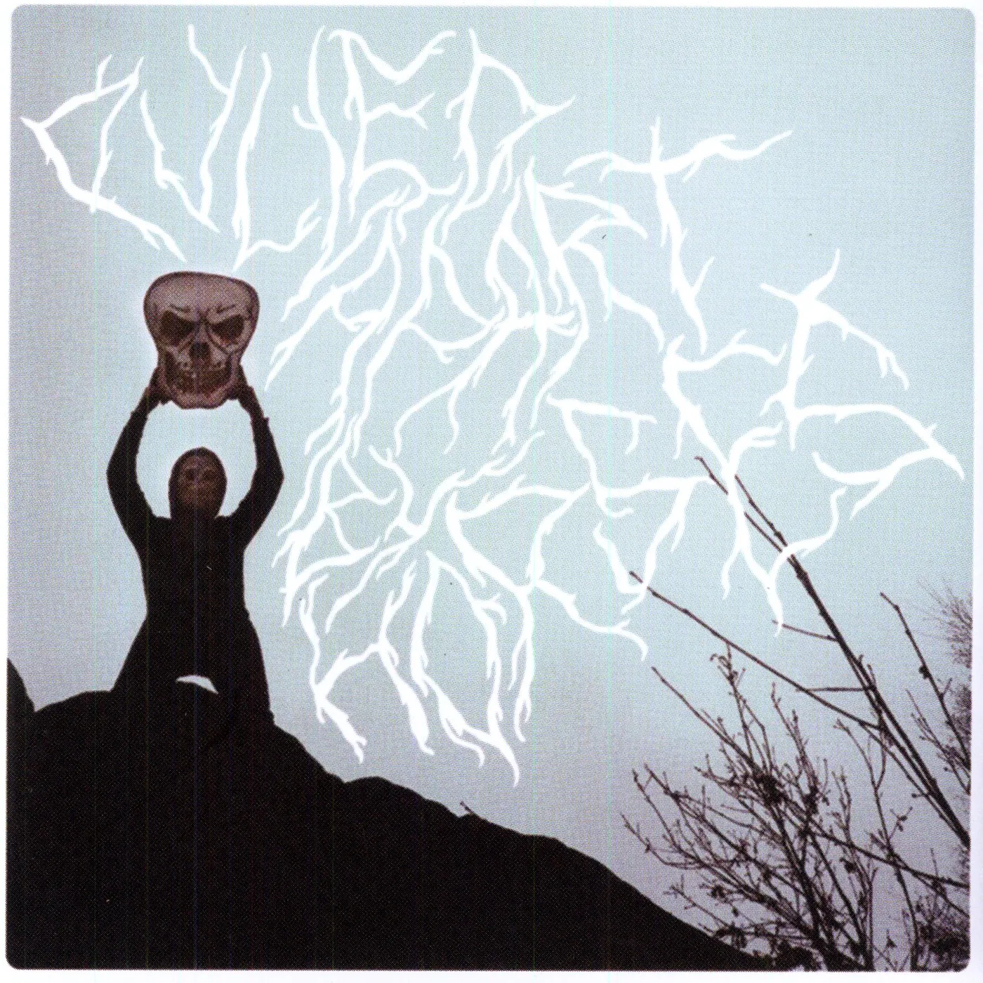 Pulled Apart By Horses Vinyl Record