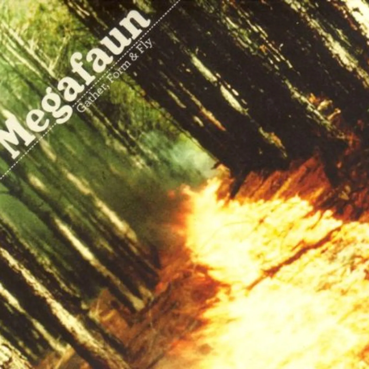 Megafaun GATHER FORM & FLY CD