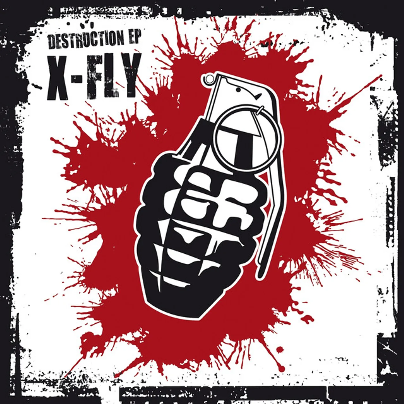X-Fly DESTRUCTION EP Vinyl Record