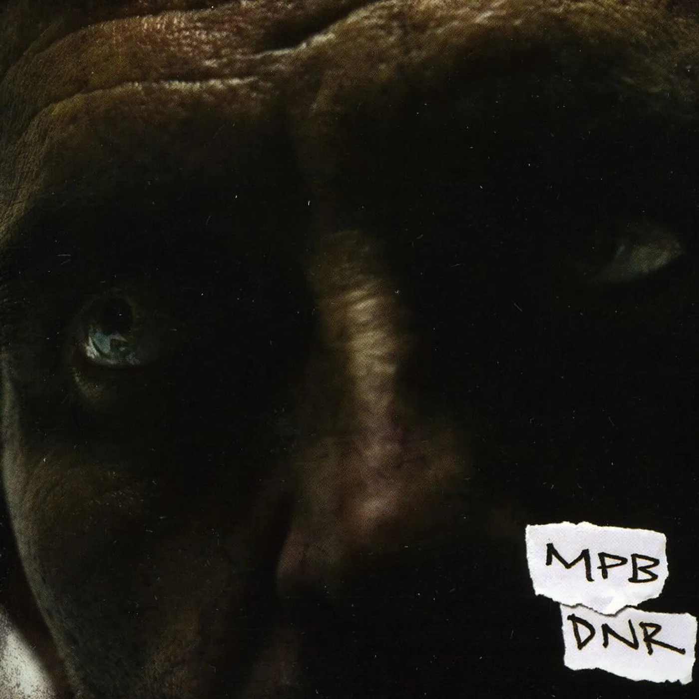 Most Precious Blood DO NOT RESUSCITATE CD