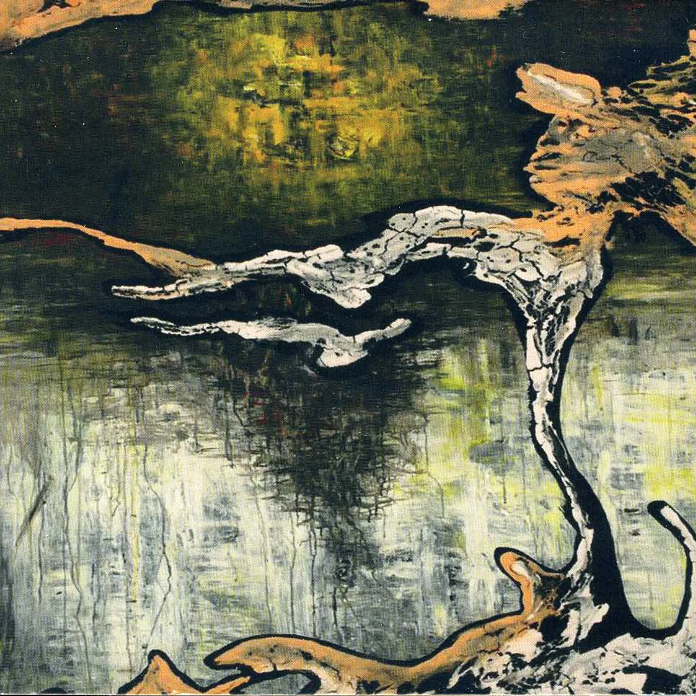 Julian Lynch TERRA CD