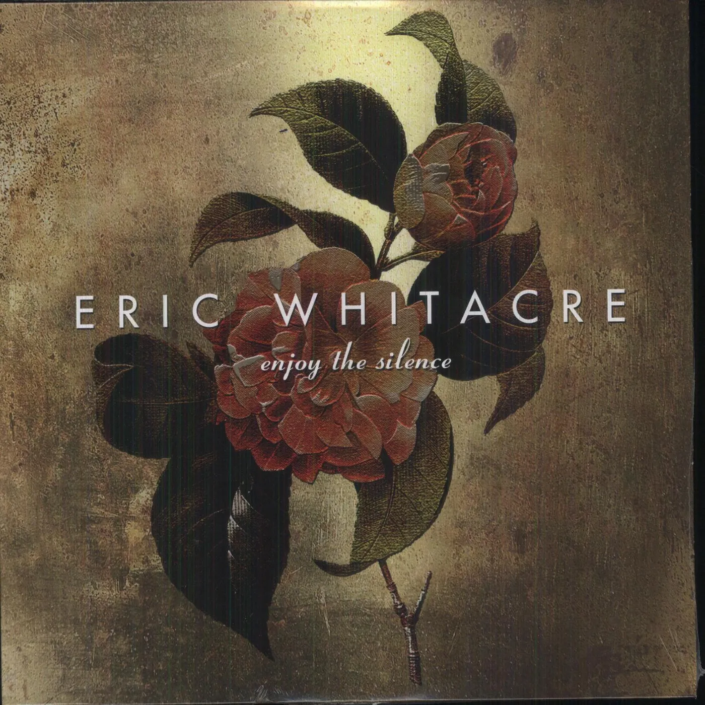 Eric Whitacre Singers ENJOY THE SILENCE Vinyl Record