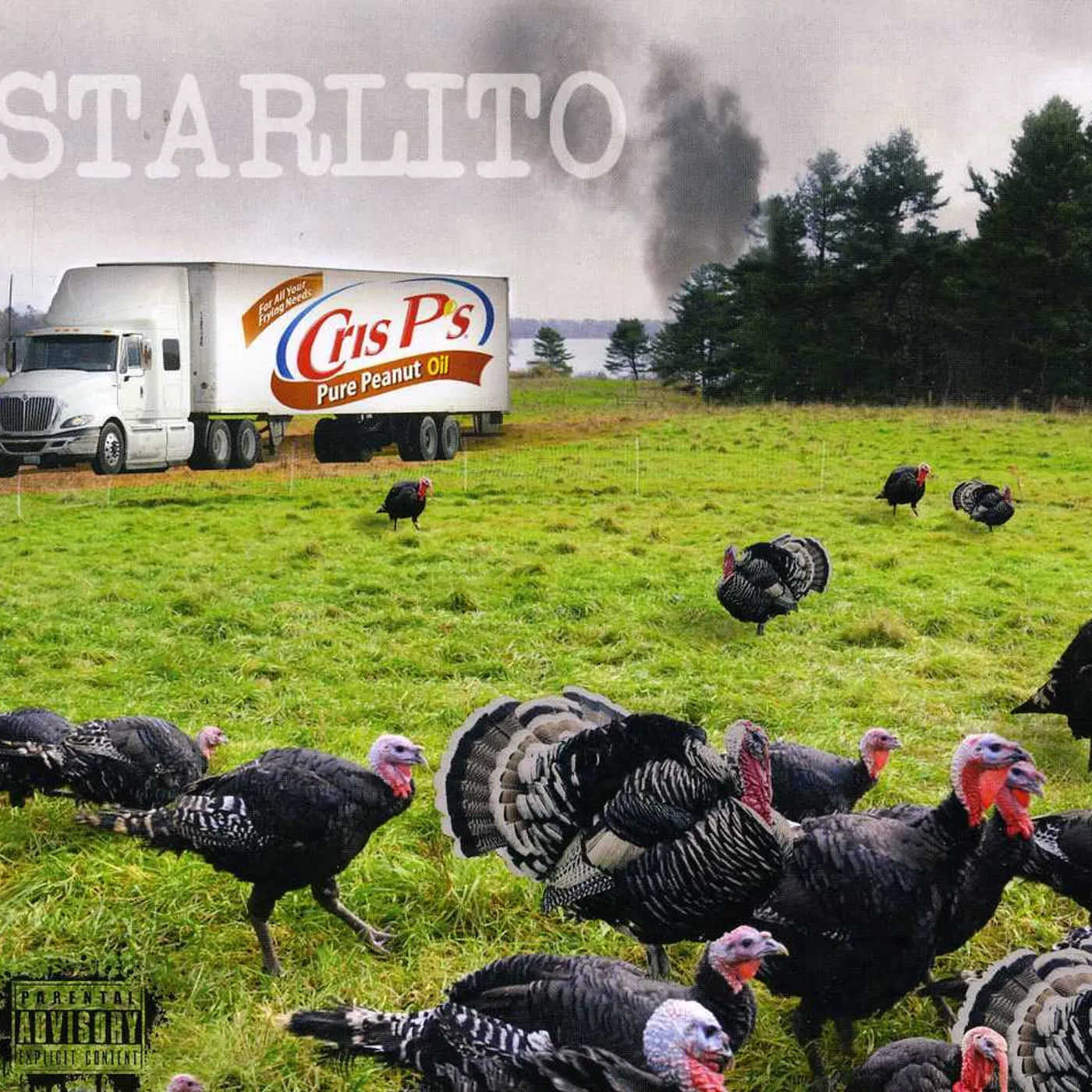 Starlito FRIED TURKEY CD