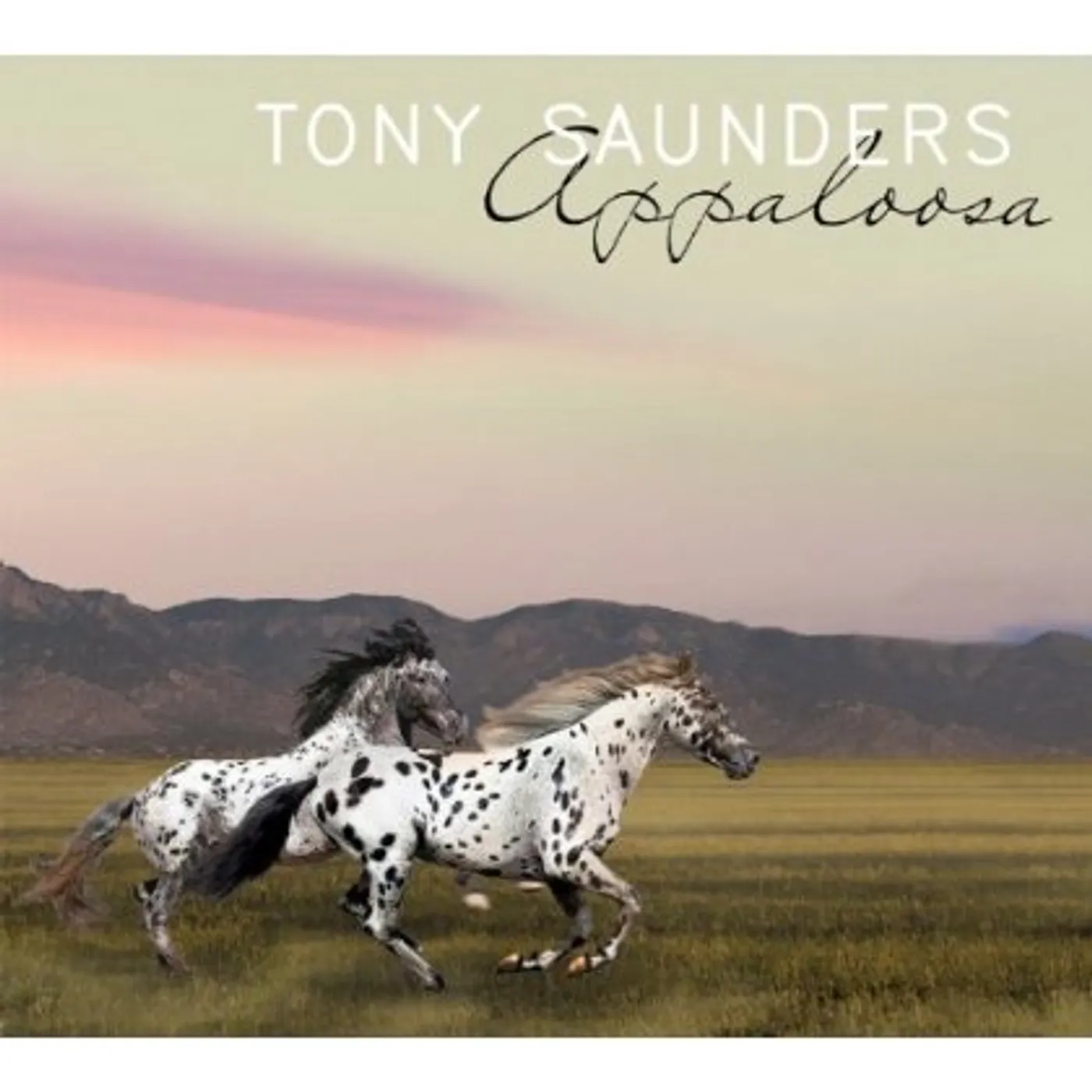 Tony Saunders APPALOOSA CD