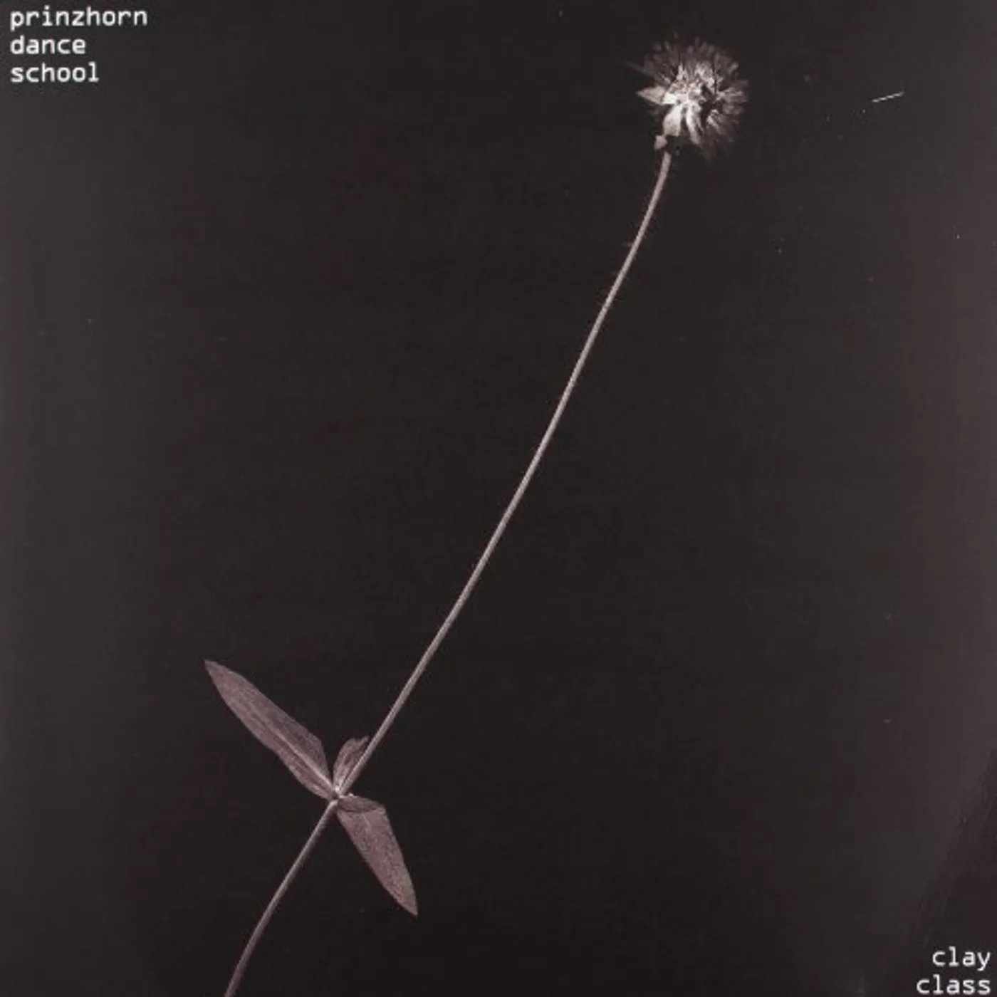 Prinzhorn Dance School CLAY CLASS Vinyl Record - Sweden Release