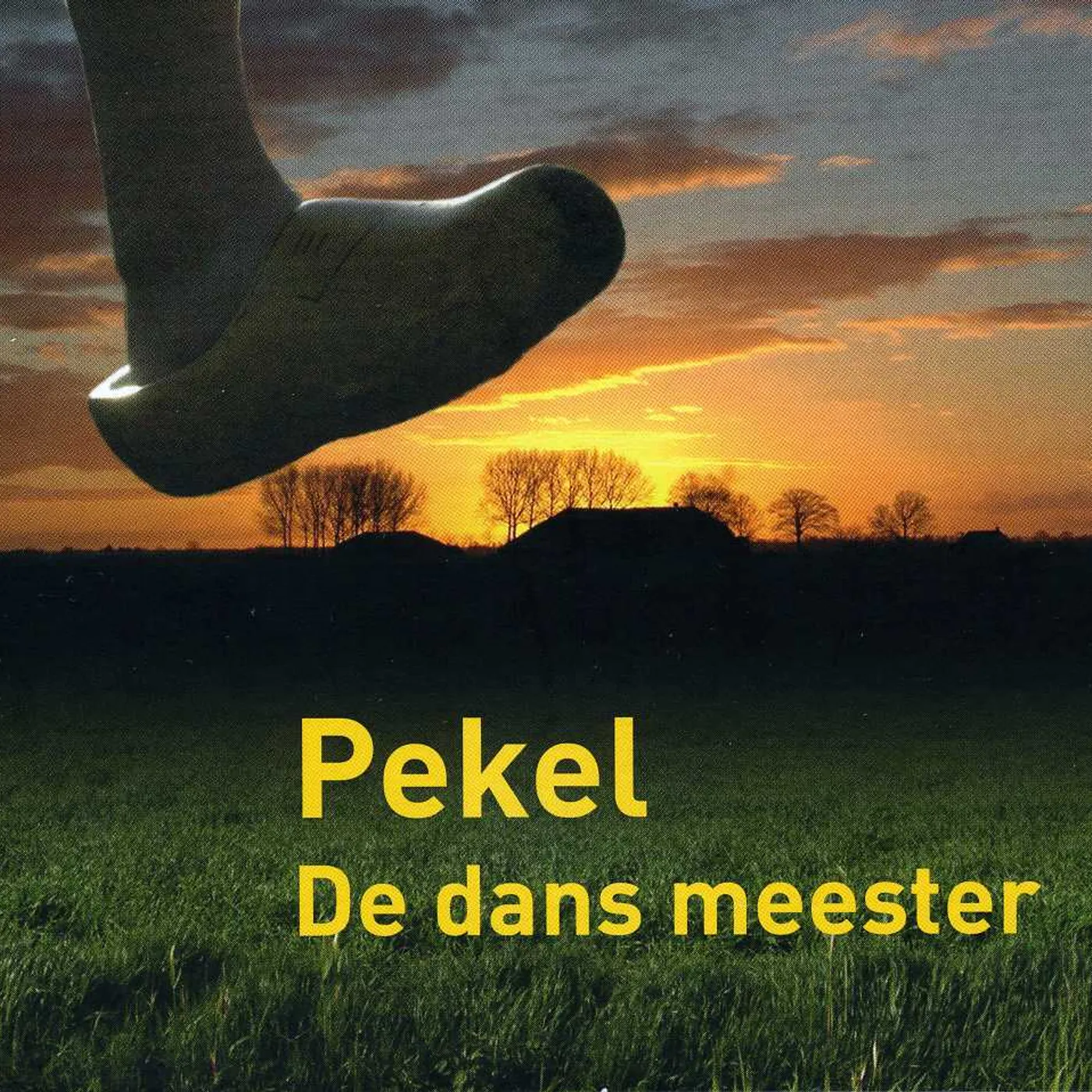 Pekel DE DANS MEESTER CD