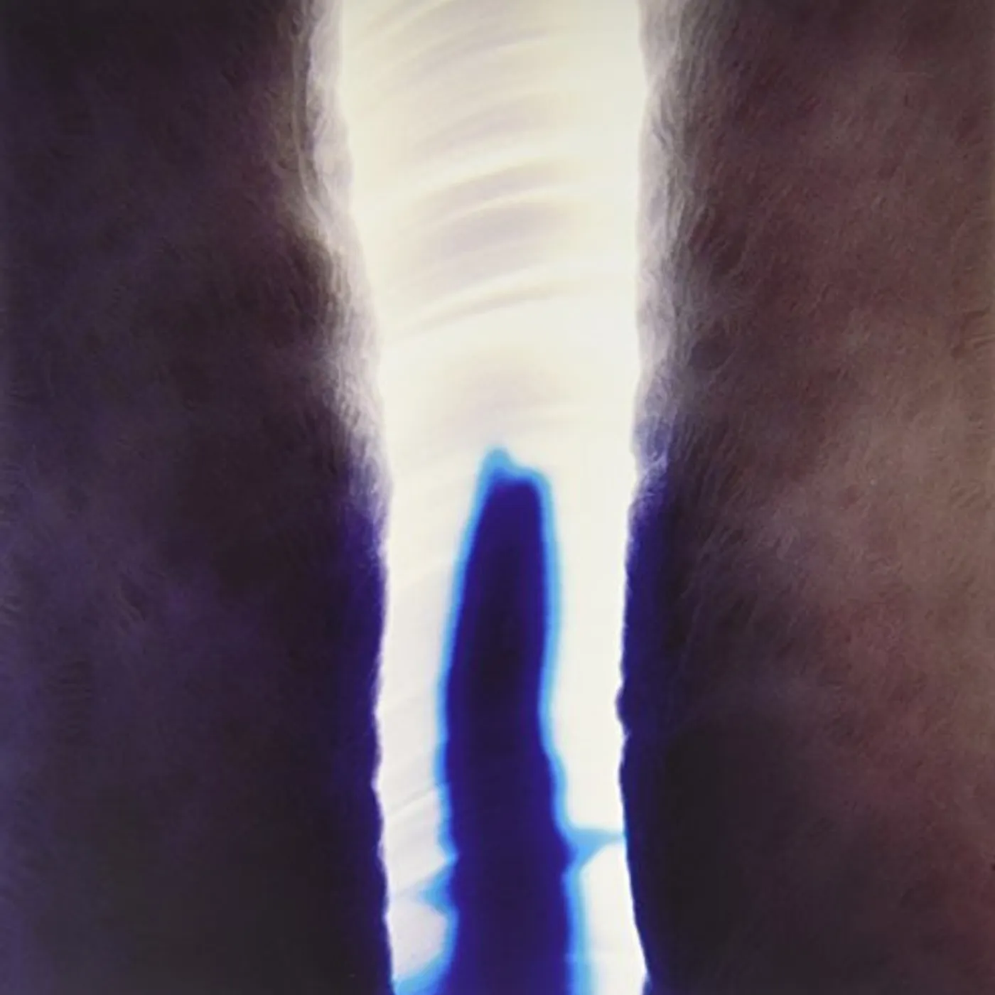 Stubborn Heart Penetrate Vinyl Record