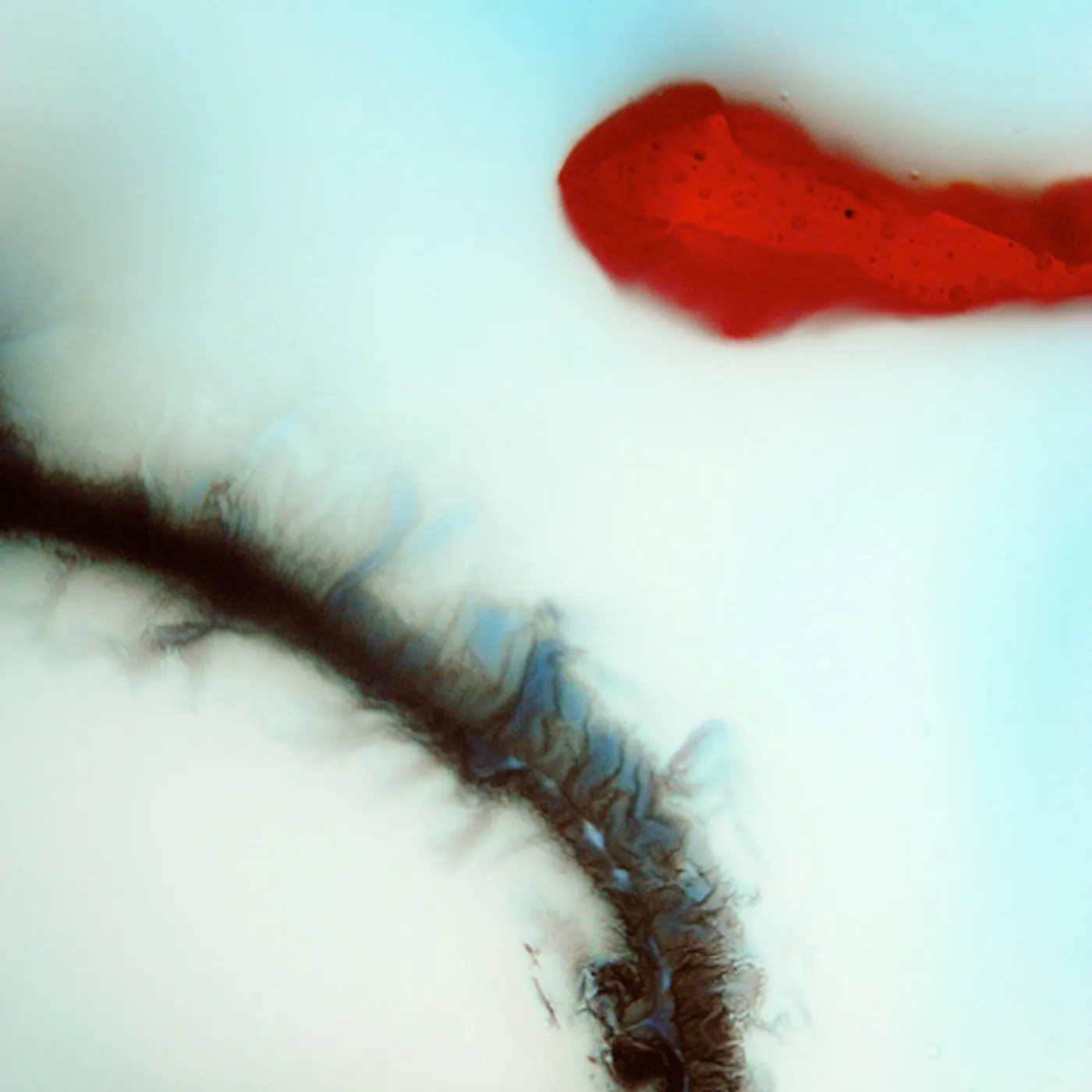 Stubborn Heart Vinyl Record