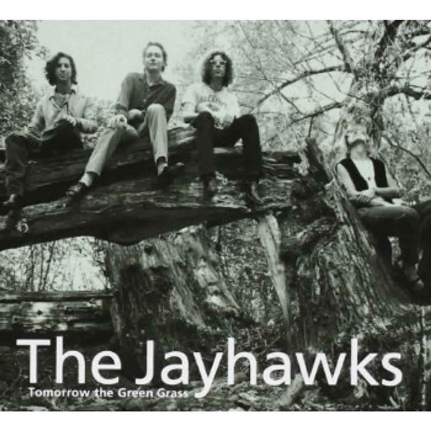 The Jayhawks TOMORROW THE GREEN GRASS CD