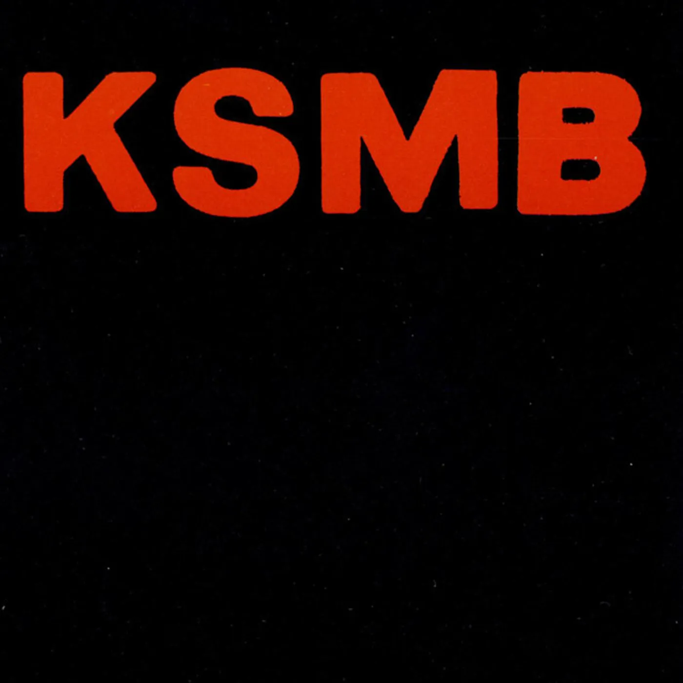 KSMB RIKA BARN LEKA BAST Vinyl Record