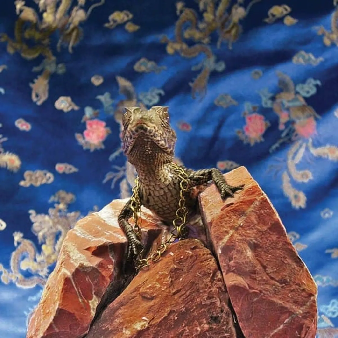 ELOQ C'MON Vinyl Record - UK Release