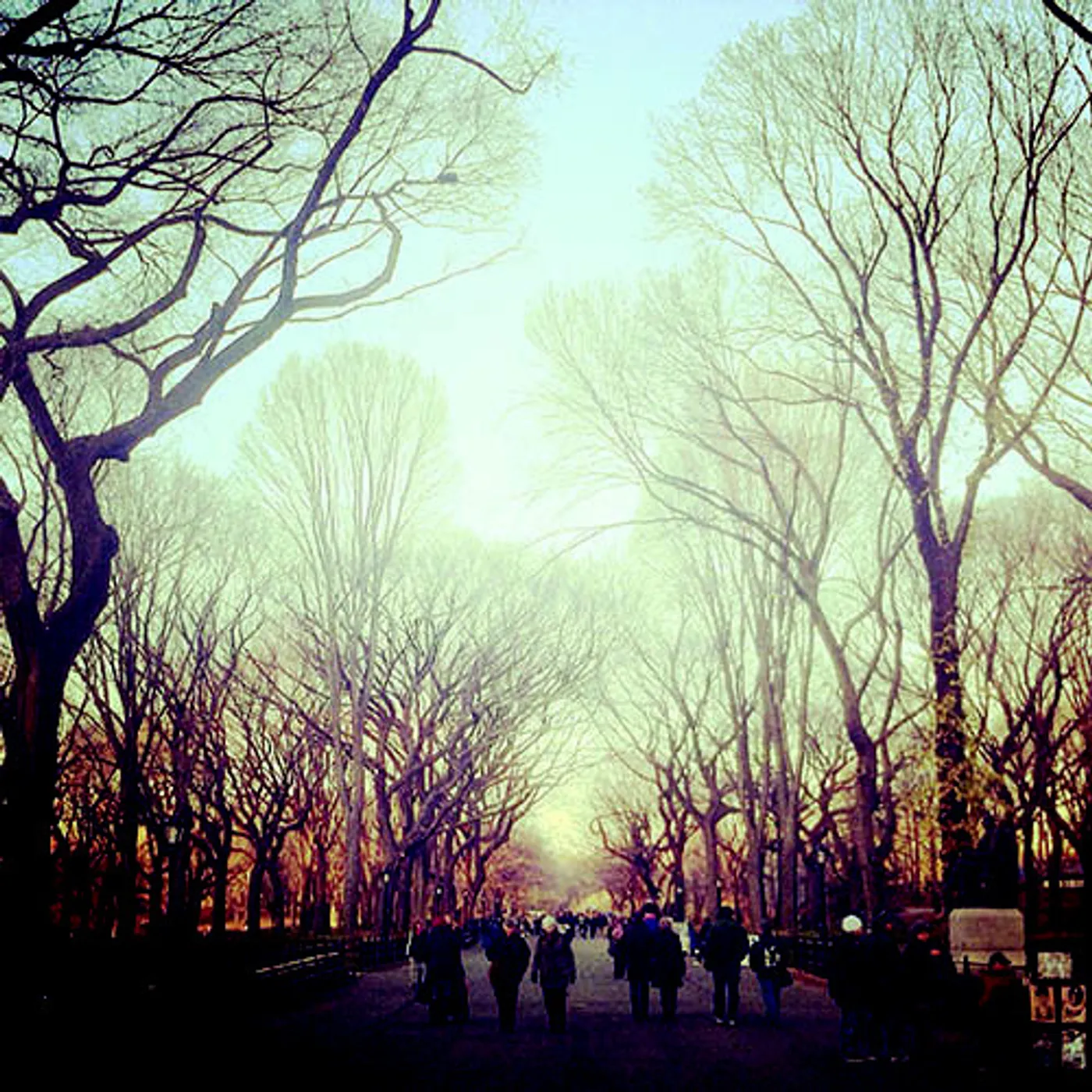 Martin Eden WORKER Vinyl Record