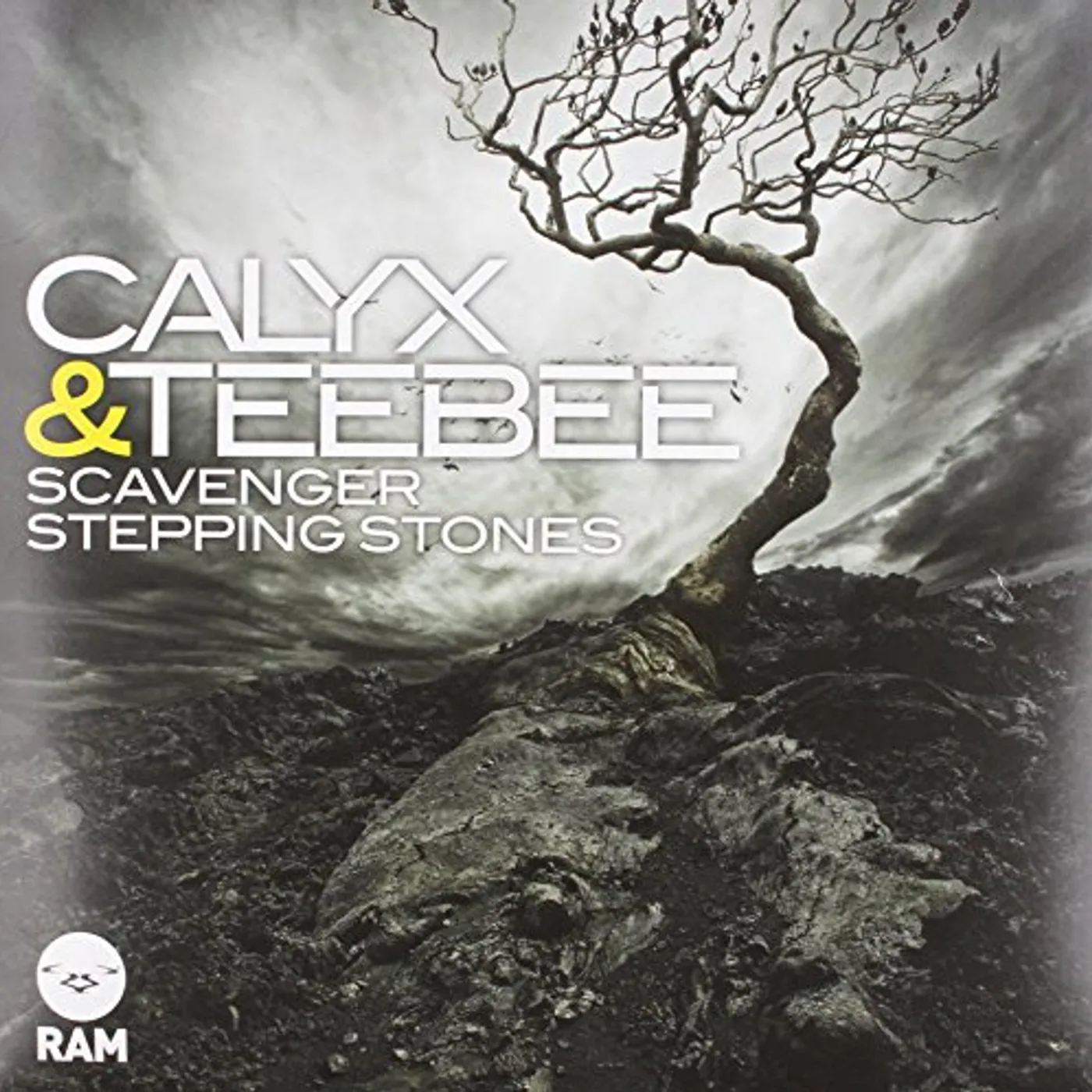 Calyx & TeeBee SCAVENGERS/STEPPING STONES Vinyl Record - UK Release