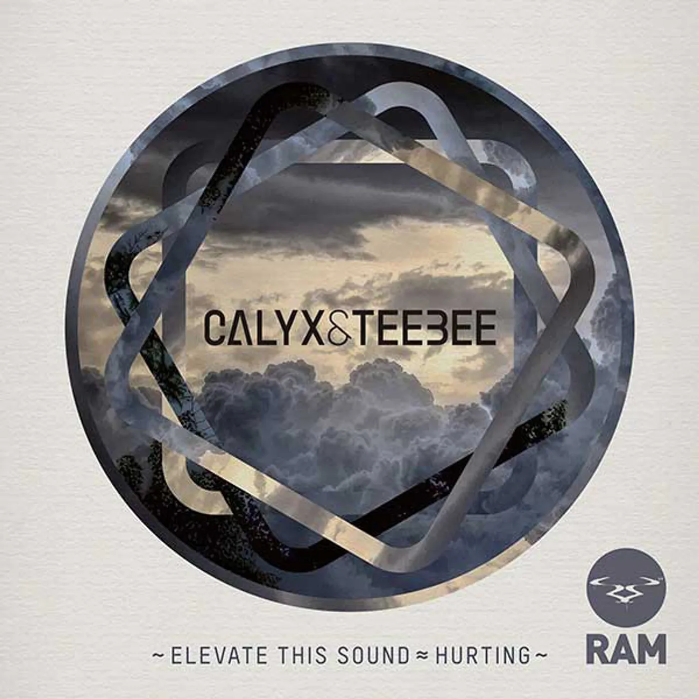 Calyx & TeeBee ELEVATE THIS SOUND/HURTING Vinyl Record - UK Release