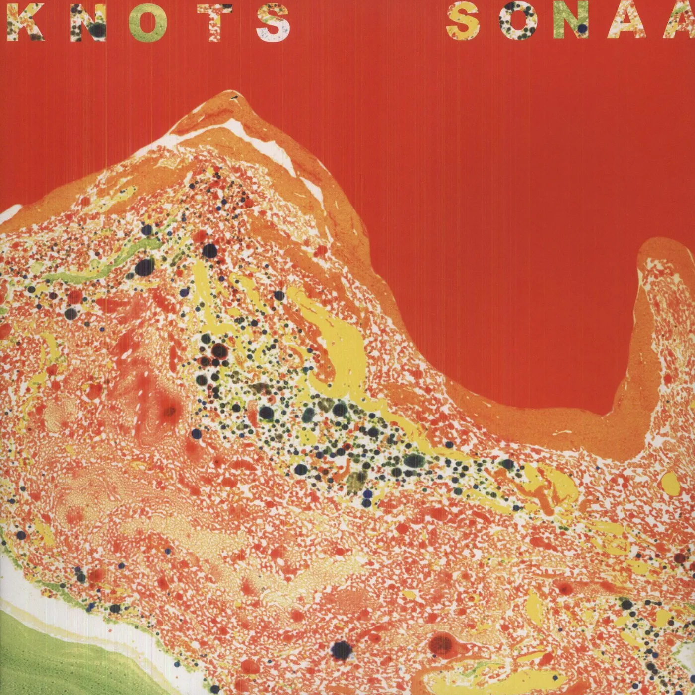 Sons of Noel and Adrian Knots Vinyl Record