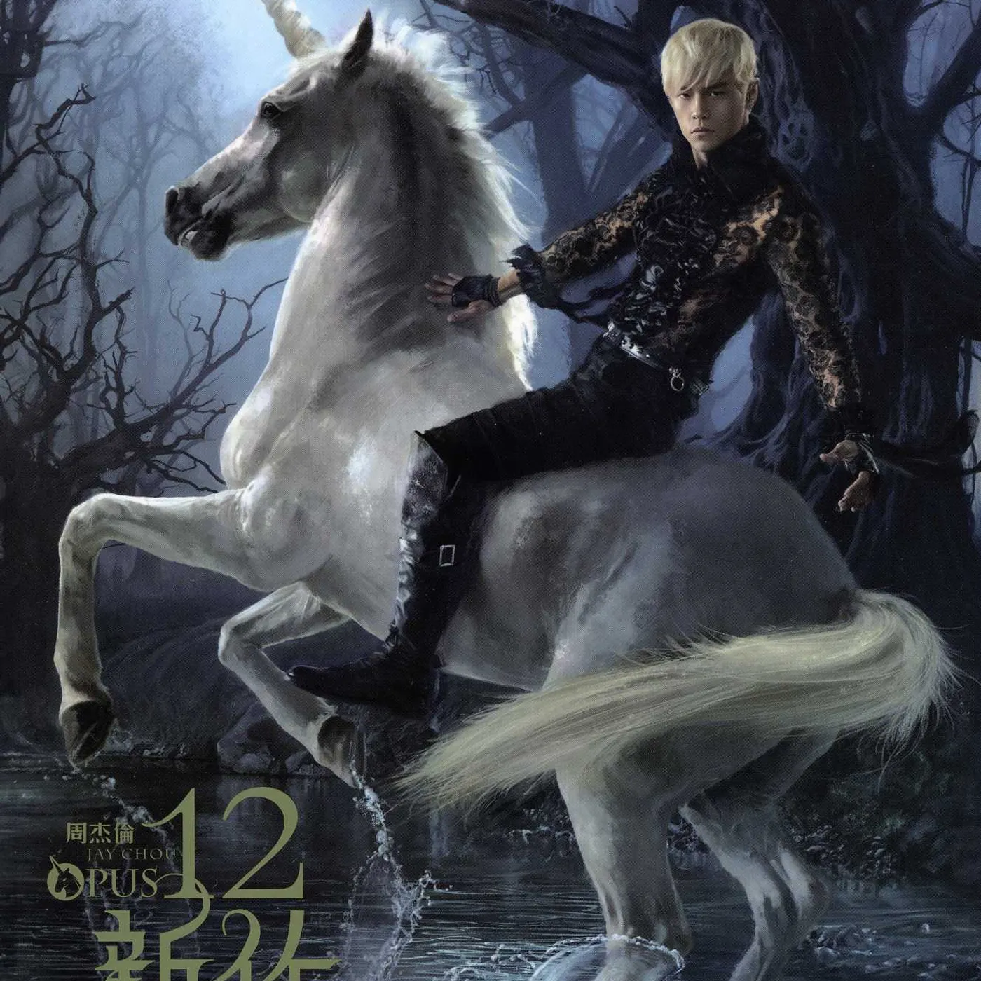 Jay Chou OPUS 12 (CHOPSTICKS LIMITED EDITION) CD