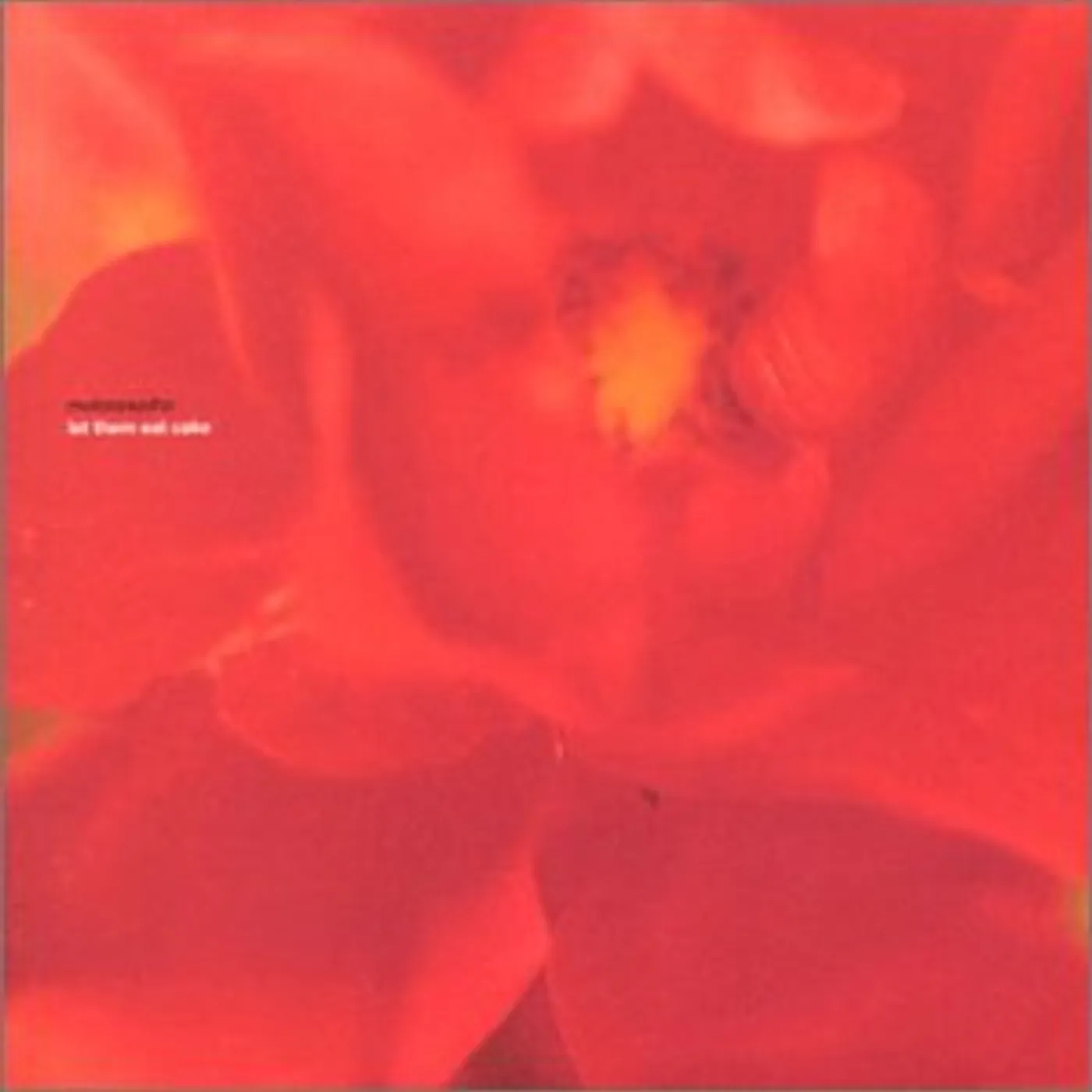 Tiger Bell Don't Wanna Hear About Your Band Vinyl Record