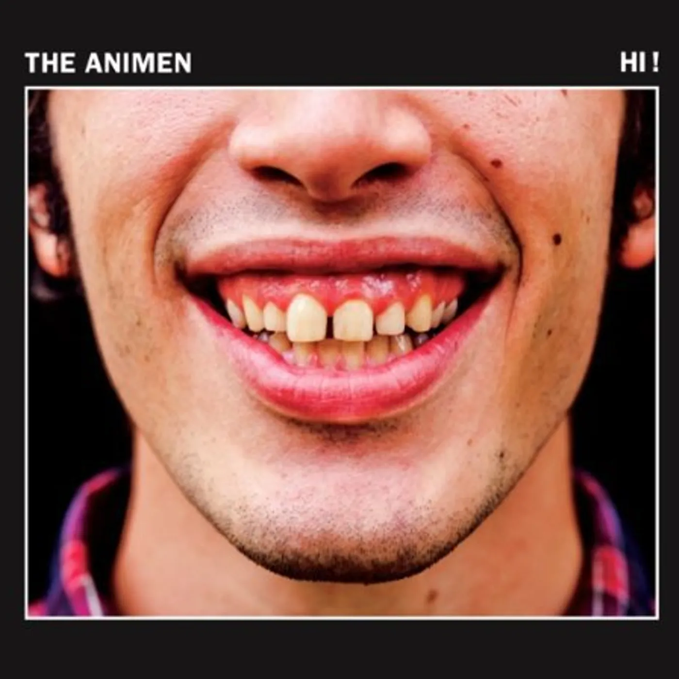 The Animen HI Vinyl Record