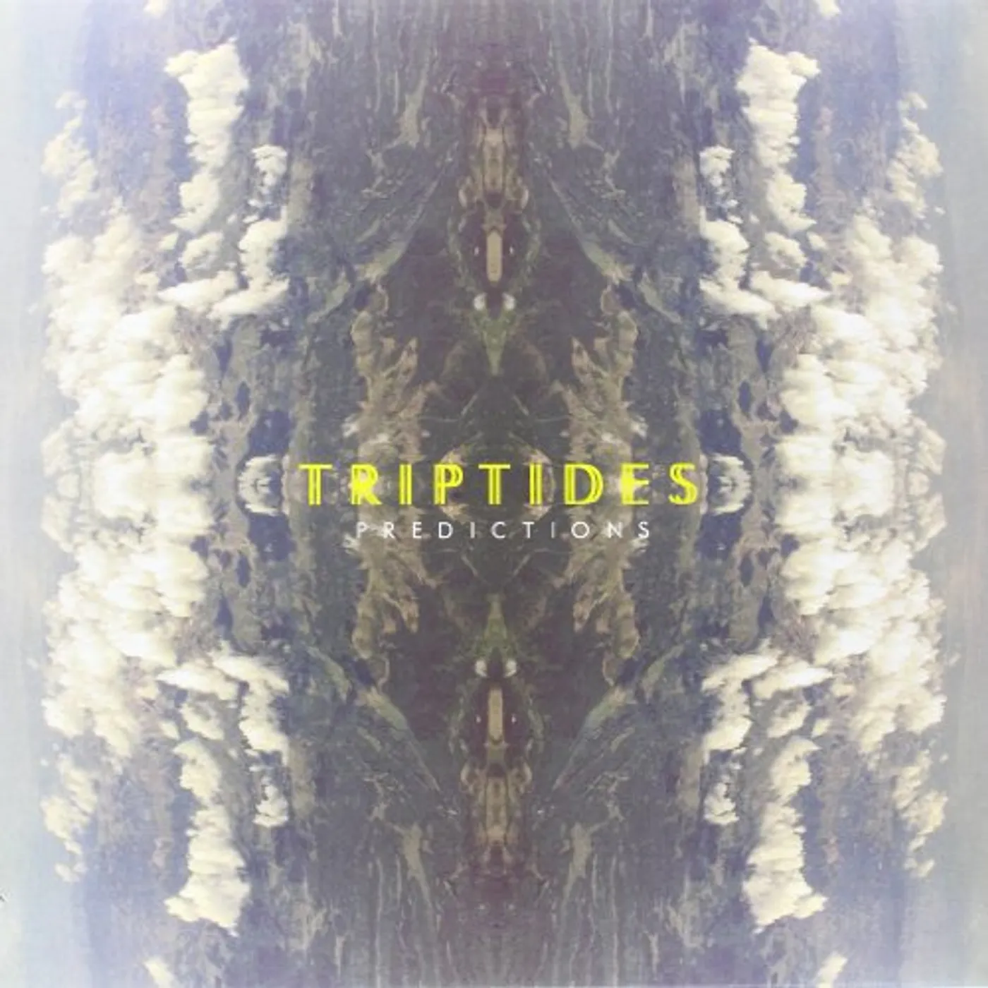 Triptides PREDICTIONS Vinyl Record - UK Release