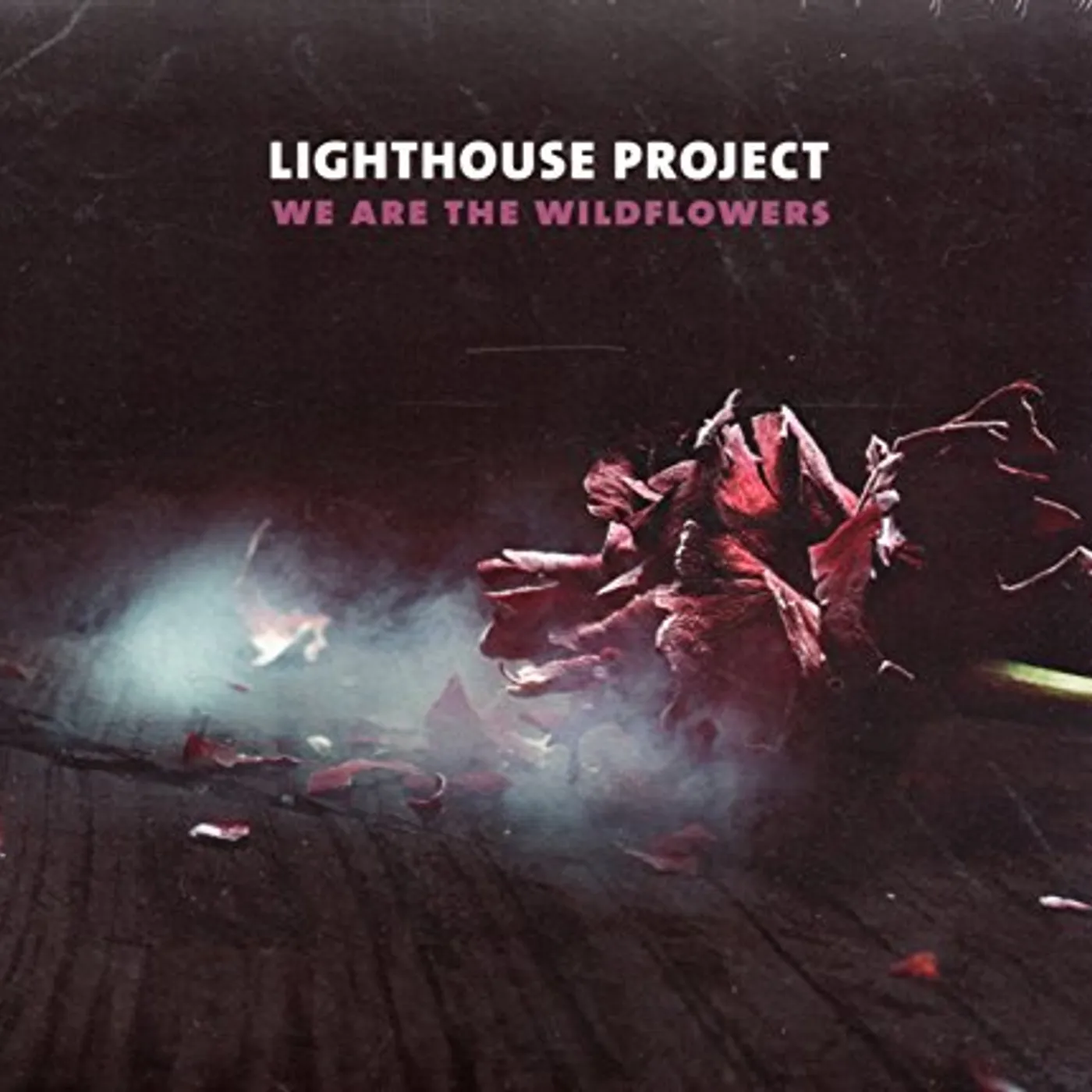 Lighthouse Project WE ARE THE WILDFLOWERS CD