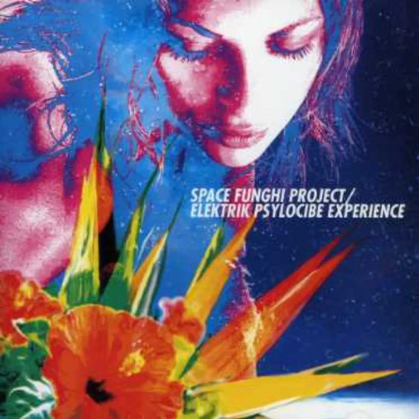 Space Funghi Project