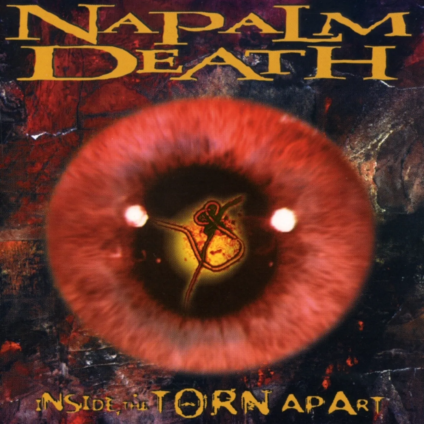 Napalm Death INSIDE THE TORN APART CD
