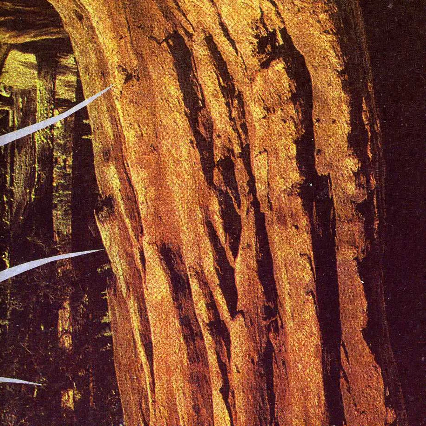 TREEFIGHT FOR SUNLIGHT CD