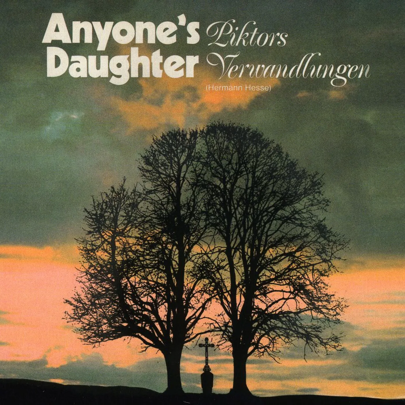 Anyone's Daughter PIKTORS VERWANDLUNGEN CD