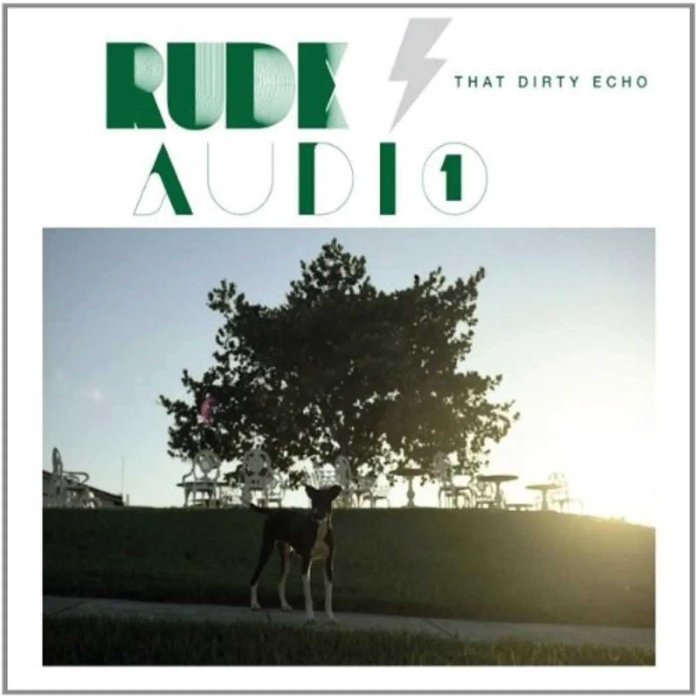 Rude Audio THAT DIRTY ECHO Vinyl Record - UK Release