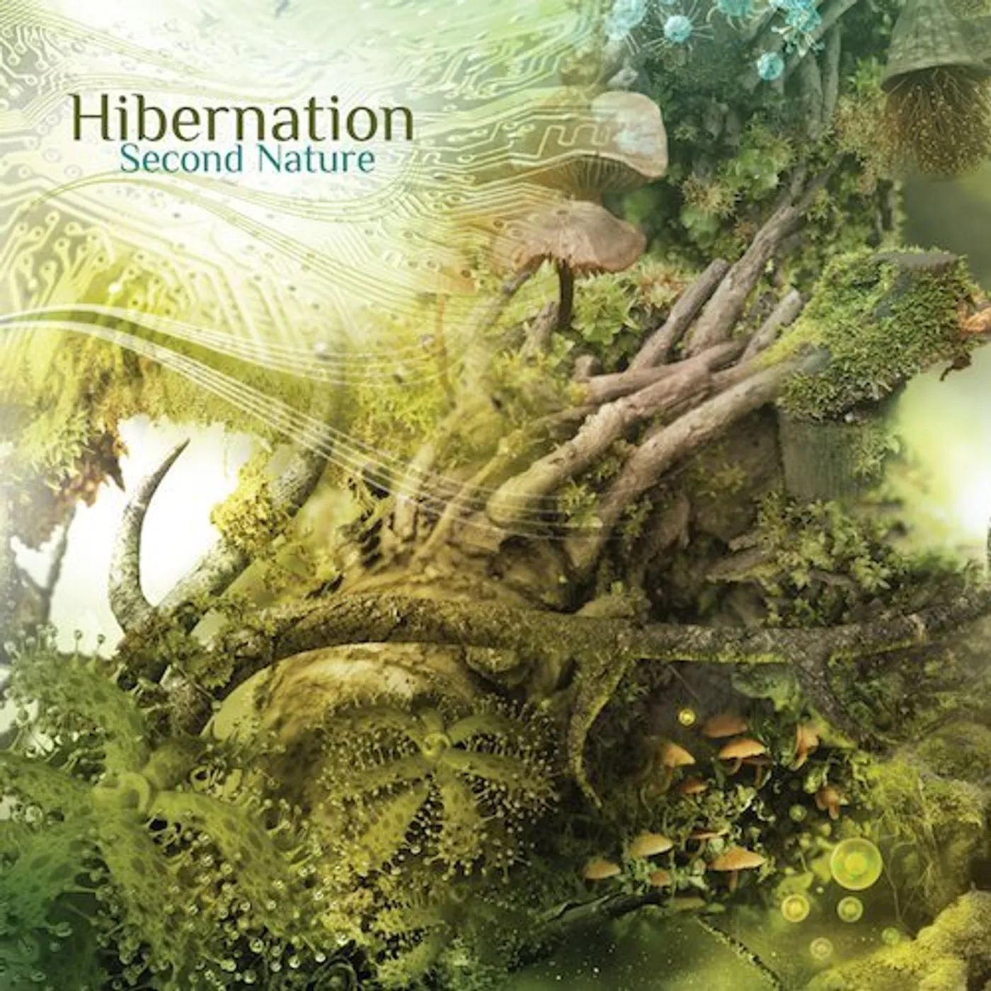 Hibernation SECOND NATURE CD