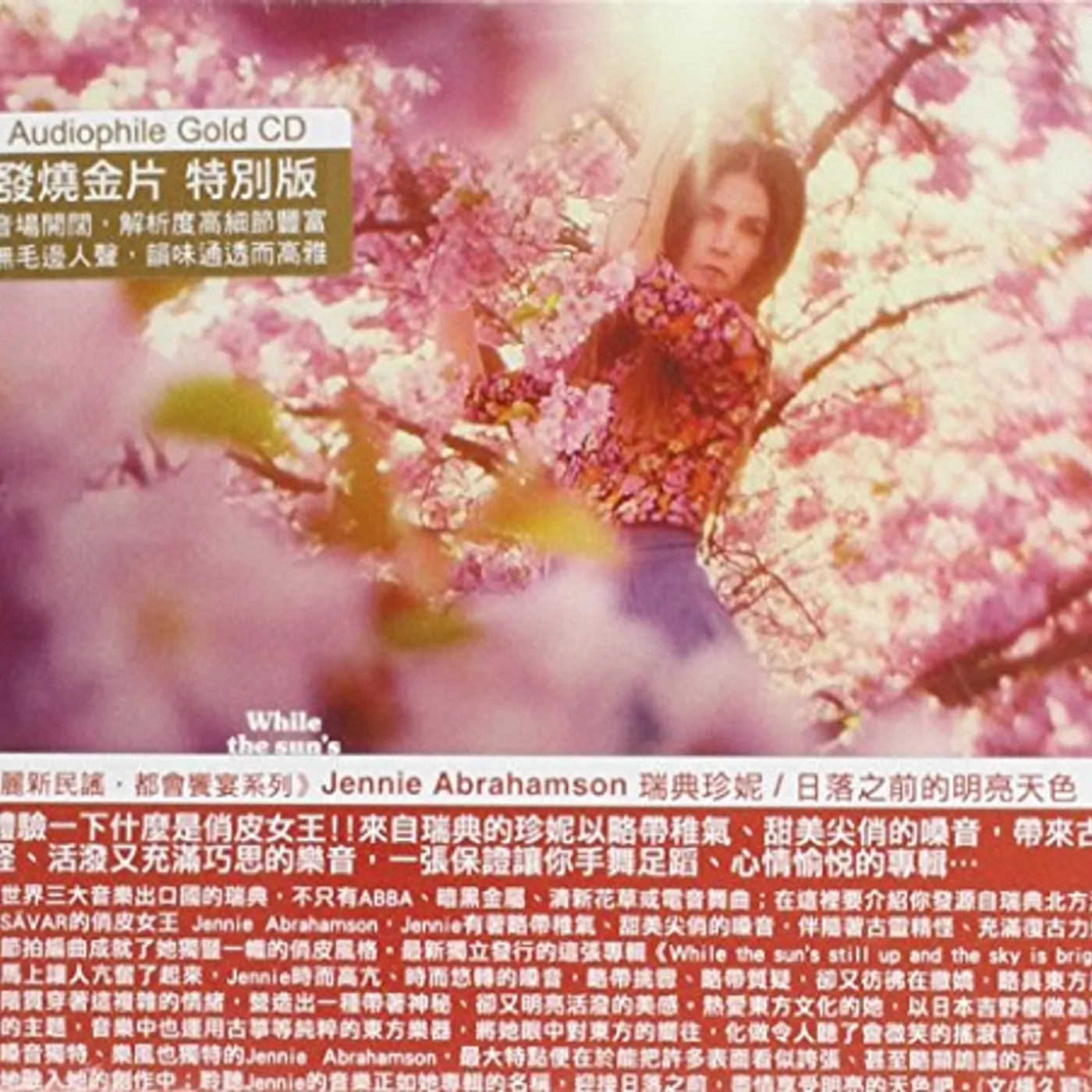 Jennie Abrahamson WHILE THE SUN'S STILL UP & THE SKY IS BRIGHT CD