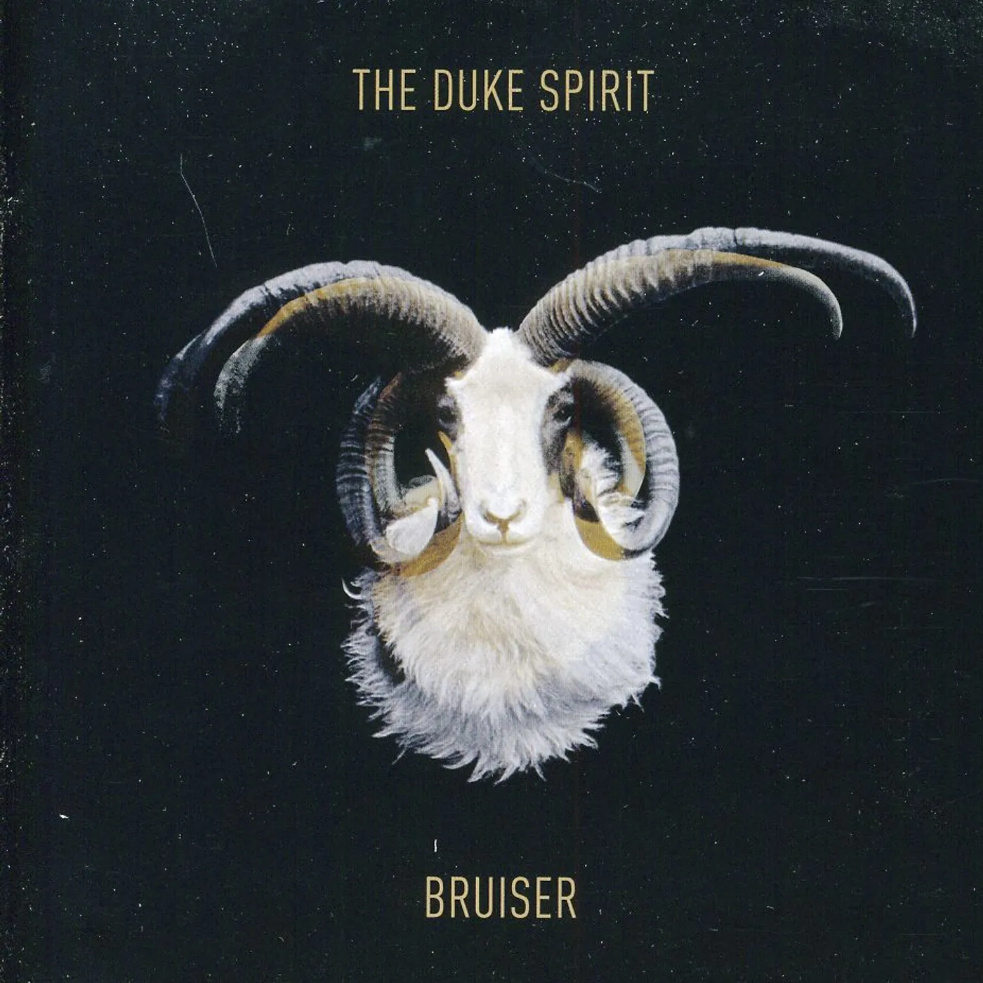 The Duke Spirit BRUISER CD
