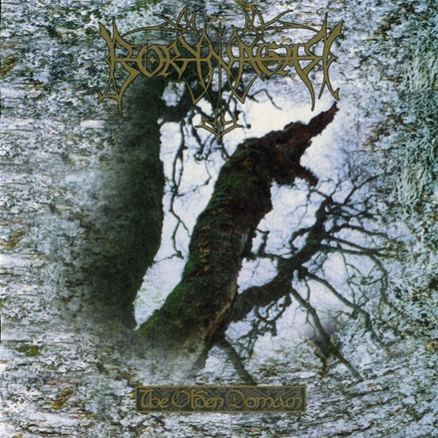 Borknagar OLDEN DOMAIN CD