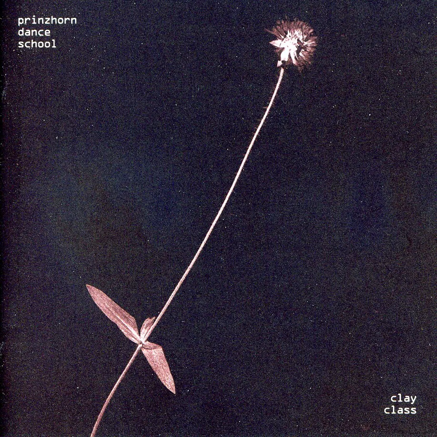 Prinzhorn Dance School CLAY CLASS CD