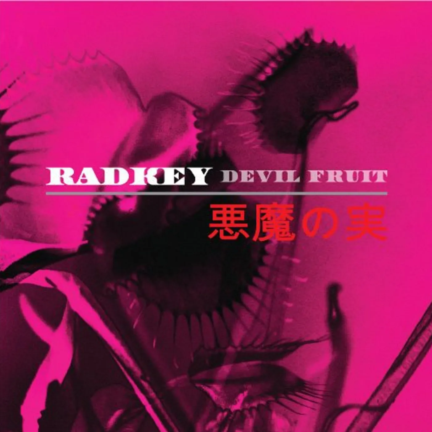 Radkey Devil Fruit Vinyl Record