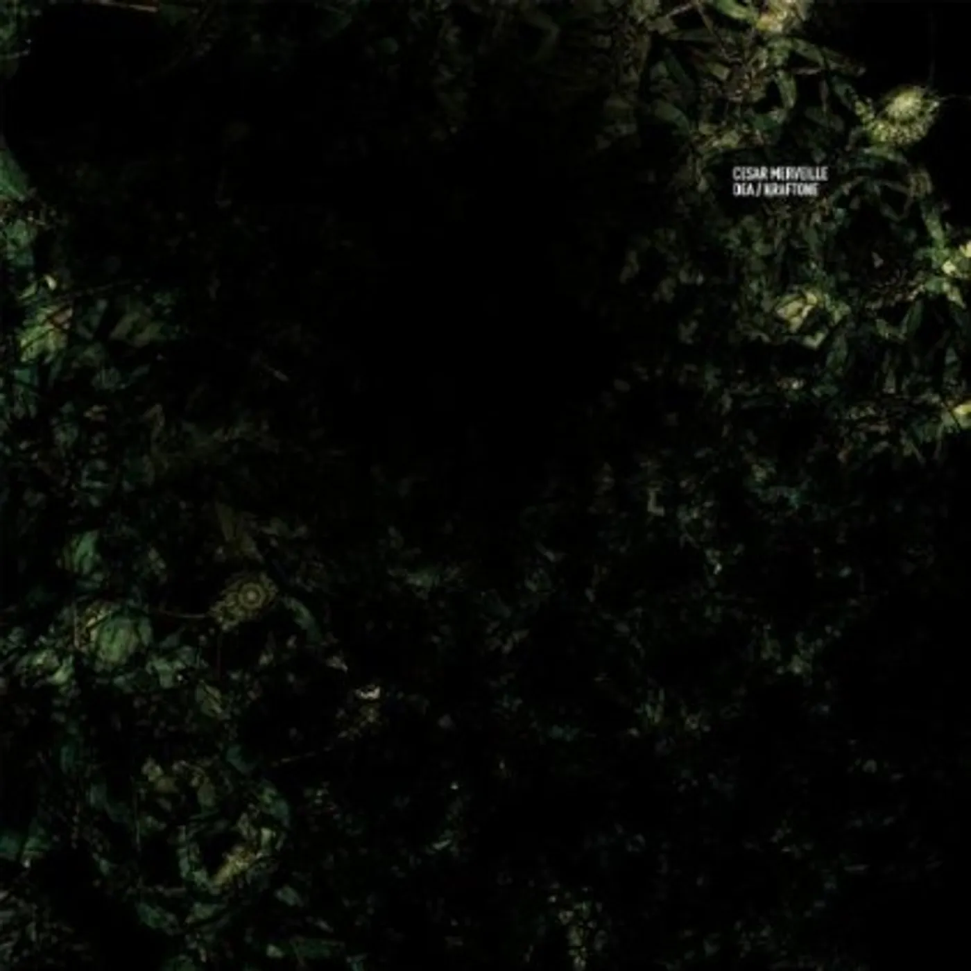 Cesar Merveille DEA / Kraftone Vinyl Record