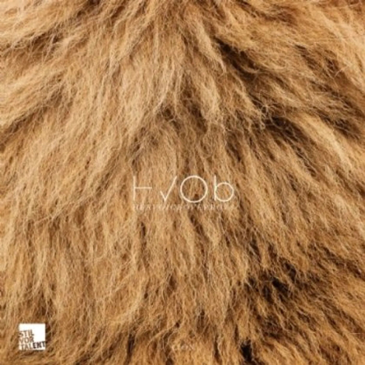 HVOB Lion Vinyl Record