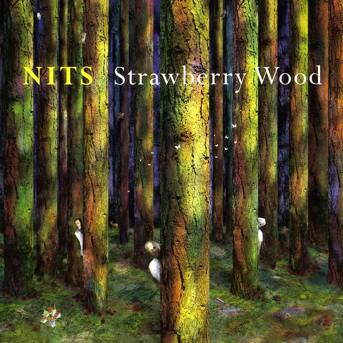 Nits STRAWBERRY WOOD CD