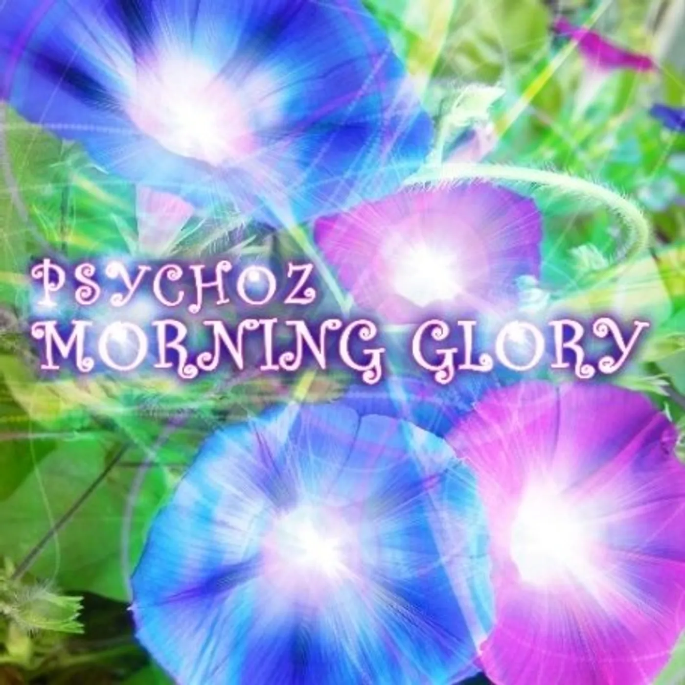 Psychoz MORNING GLORY CD