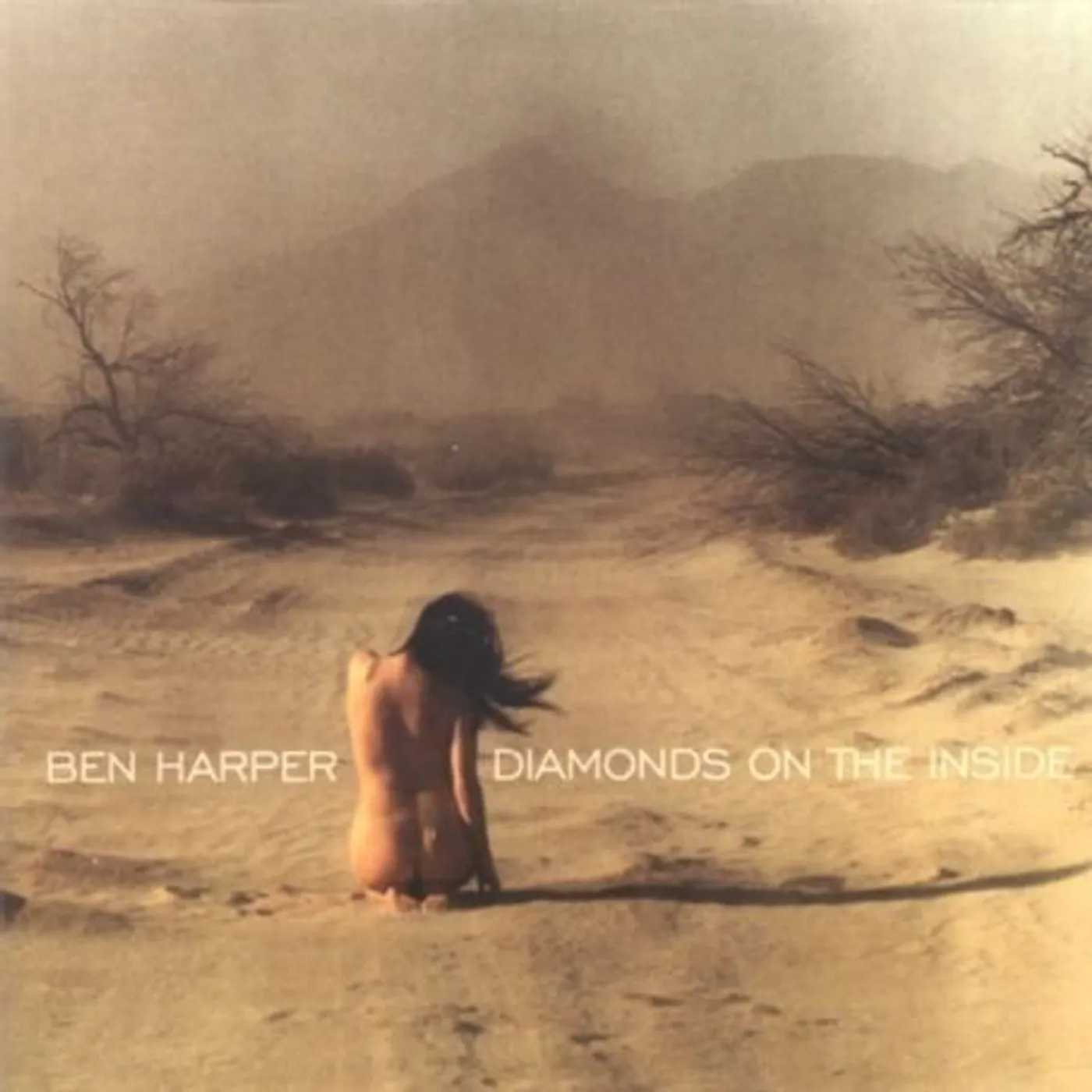 Ben Harper DIAMONDS ON THE INSIDE CD
